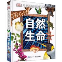 啟迪童心，點亮未來——少兒期刊的出版與使命