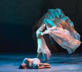 南寧綜合文藝表演 網絡文化經營與營業性演出許可證合規指南